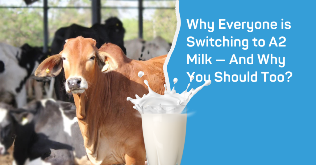 Why A2 Milk Is Becoming Everyone’s New Favourite