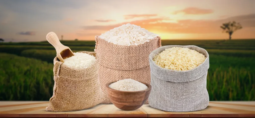 Rice Wholesale in Singapore: Pricing Factors and Buying Options
