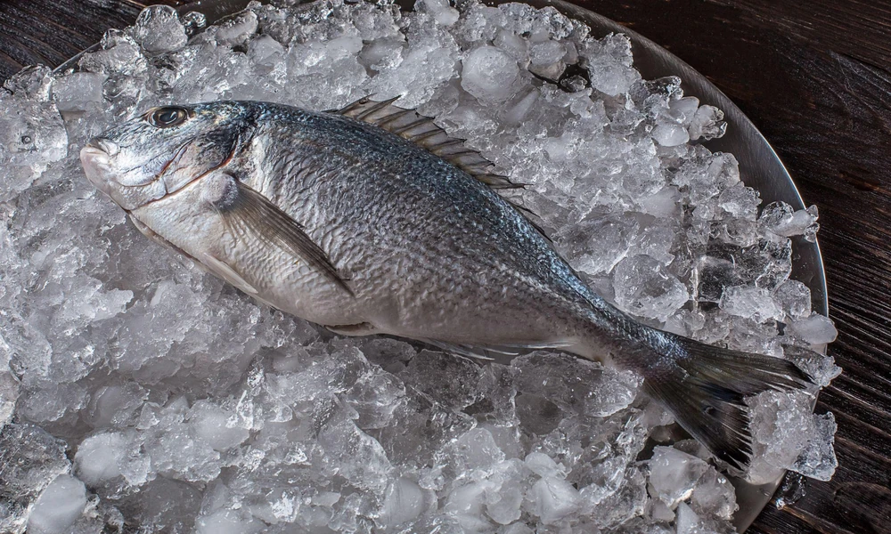 How Direct-to-Port Wholesalers Keep the Daily Pomfret Fish Price Competitive for Local Families