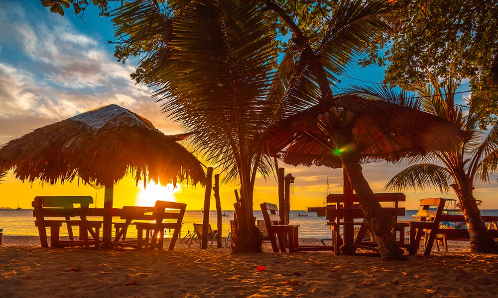 The Step-by-Step Plan to Finding the Perfect Beach Dining Experience